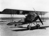 fokker-d-vii-251.jpg