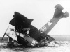 fokker-d-vii-256-crash.jpg