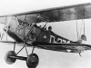 fokker-d-vii-d-23.jpg