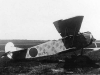 fokker-d-vii-early-2.jpg