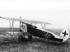 fokker-d-vii-ww-1.jpg