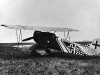 fokker-d-vii-ww-1_2.jpg