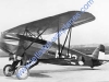 fokker-d-xvi-f-32.jpg