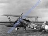 fokker-d-xvii-201_2.jpg