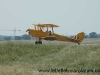 tiger-moth_2.jpg