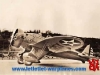 boeing-p-26a-1934-photo.jpg