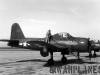 VF-41 NAF Litchfield Park 1947