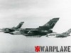 Panavia Tornado formation of 98#01 and 98#05 with 3rd Luftwaffe plane