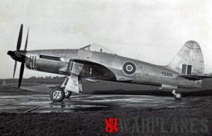 TS371, the first Wyvern prototype with a Rolls Royce Eagle engine. The photo was taken in December 1946 before its first flight. It has a bare metal colour scheme