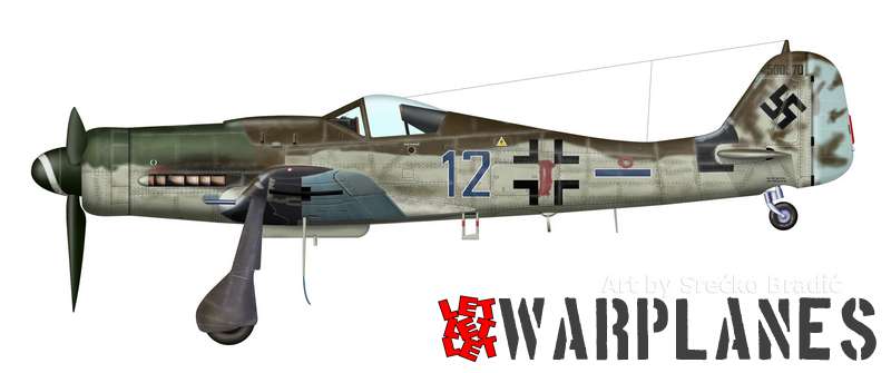 Fw190D 500570