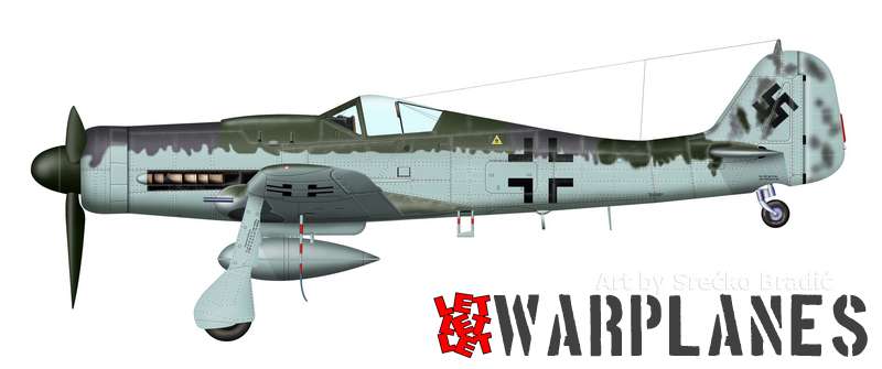 Fw190D 210051