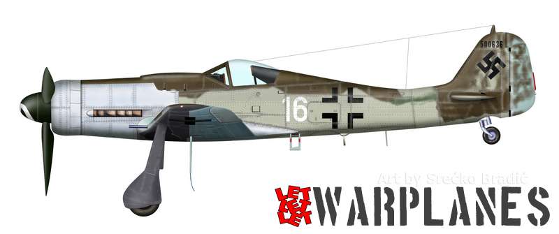 Fw190D 500636