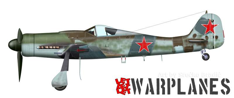 Fw190D Soviet