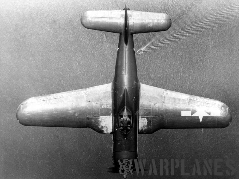 Top view of FR-1 no.39651  shows how thick the fuselage had to be to accommodate the jet engine