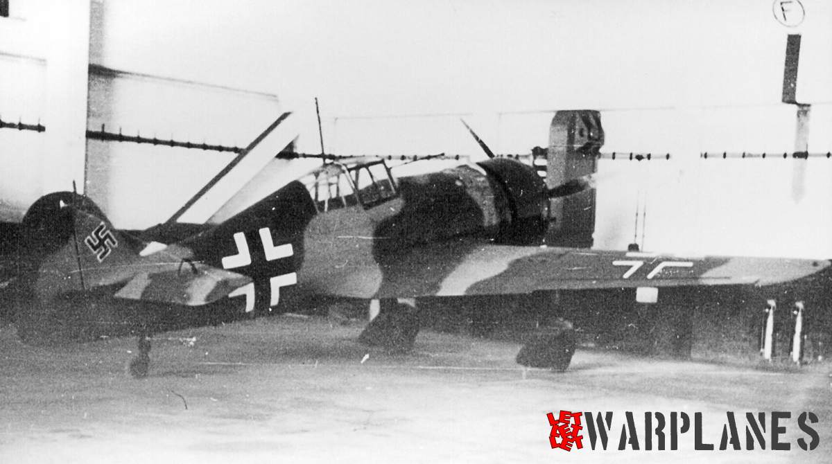 Rare image of the captured Fokker D. XXI in the German markings. It retained original camouflage but now with the German insignia.