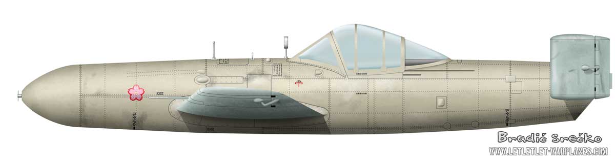 Color profile of Ohka, shown its two tone camouflage pattern.